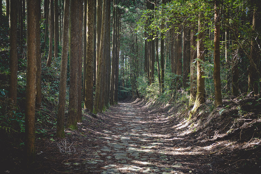 日本遺産イメージ